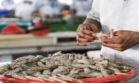 `Blame it on the fish': India's seafood exports drop by 10.88%, thanks ...
