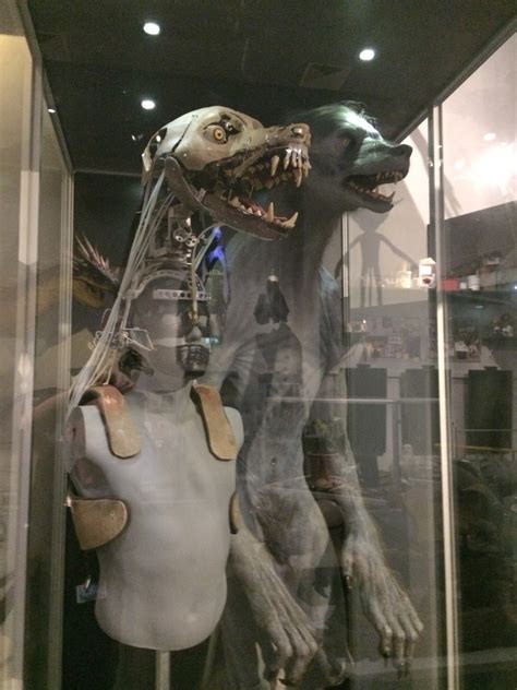 Harry Potter Prisoner Of Azkaban Werewolf