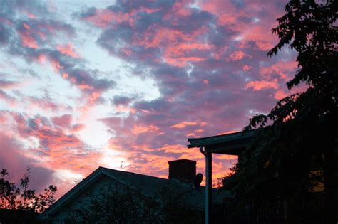 About – Alana Moon – Medium