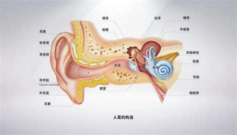 宝宝耳聋，妈妈伤心欲绝！人工耳蜗助力，重获新“声”！__中国医疗