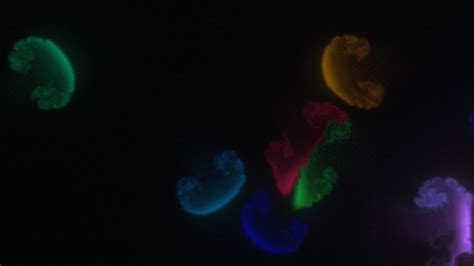 Fluid Animation Tutorial 的图像结果