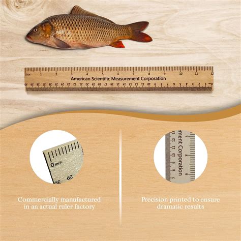 AmericanScientificMeasurementCorporation 2-Piece Prank Rulers for Size ...