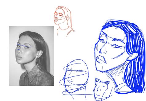 Female Face Proportions Drawing