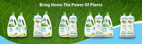 The Evolution of Green Technology in Cleaning: Pioneering a Sustainabl ...