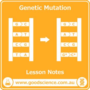 Image result for Biology Ordinal Level Mutation Lesson
