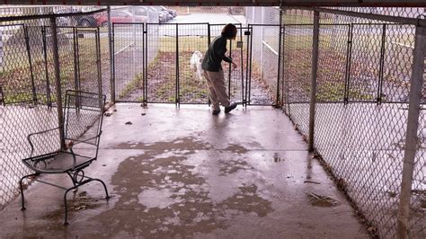 Stark County dog pound in Canton to be renovated
