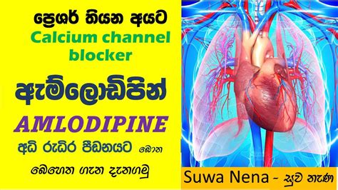 Key facts about Amlodipine ඇම්ලොඩිපින් ගැන වැදගත් කරුණු - YouTube