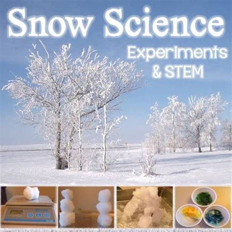 Image result for Snow Science Experiments