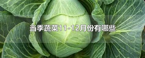 当季蔬菜11-12月份有哪些-最新当季蔬菜11-12月份有哪些整理解答-全查网