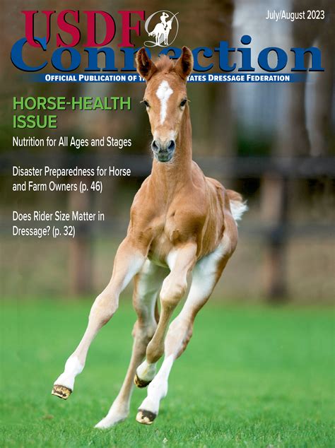 Image result for USDF Competitions