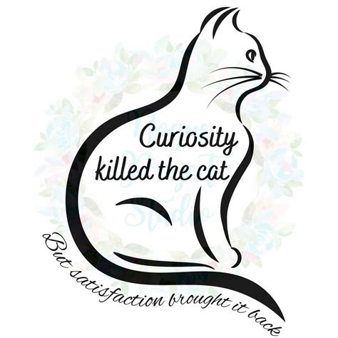 Curiosity Killed the Cat - Svg, Png, Jpg - Instant Download - Etsy
