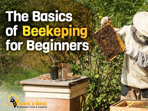 Beekeeping Tutorial 的图像结果