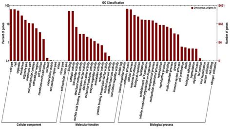 Image result for Go Annotation
