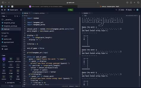 Image result for Thar Man Python Coding
