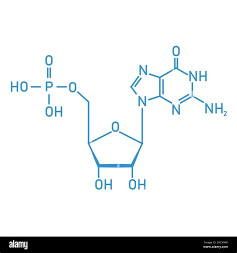 Chemical structure of DNA nucleotide. Three parts of a nucleotide ...