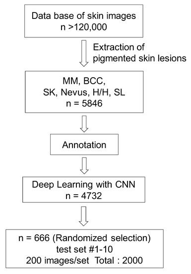 The Development of a Skin Cancer Classification System for Pigmented ...