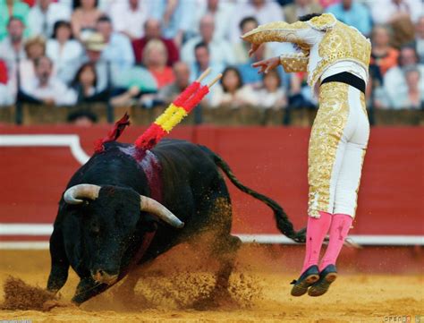 Bull Fighting Wallpaper - WallpaperSafari