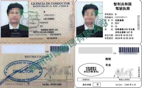 中国-智利优惠性产地证（中智证书FORM F）原产地标准填写规则