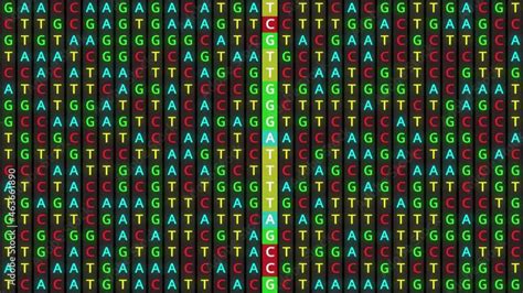 Image result for Color Coding DNA Matches