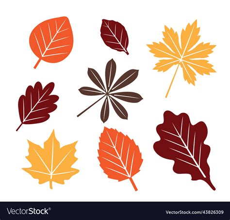 Fall leaves Royalty Free Vector Image - VectorStock
