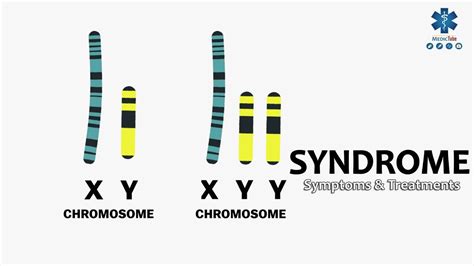 XYY Syndrome: Causes, Symptoms, and More
