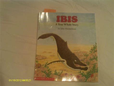 True Whale Story (Wiggleworks) : Himmelman, John: Amazon.in: Books