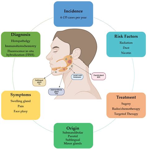 Salivary Glands Cancer