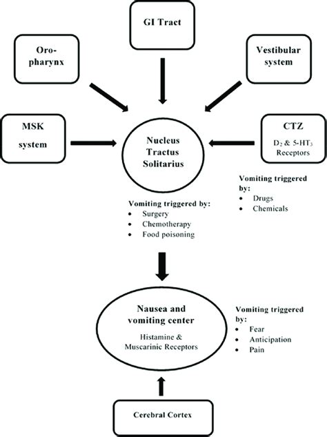 Mechanism of nausea and vomiting. Note: MSK; Musculoskeletal, CTZ ...