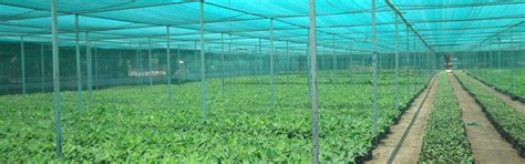 Society for Agriculture and Arid Ecology Research, Bikaner, Rajasthan ...