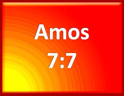 Amos 7:7 Thus he showed me: and, behold, the LORD stood on a wall made ...