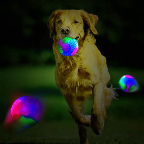 Buy 4 pcs Light Up Dog Balls Flashing Elastic Ball Glow BallGlow in The ...