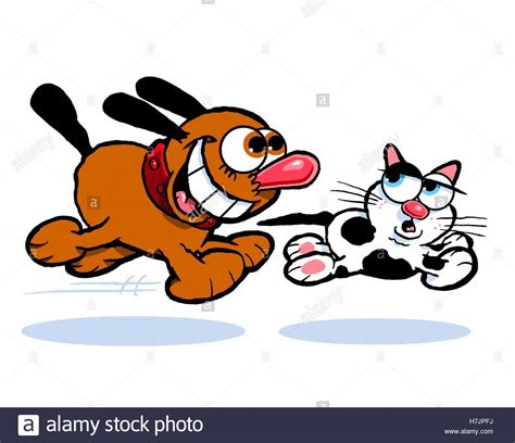 Dog Chasing Cat Stock Photos & Dog Chasing Cat Stock Images - Alamy