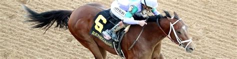 Renegade | BRISnet.com Trusted Data & More