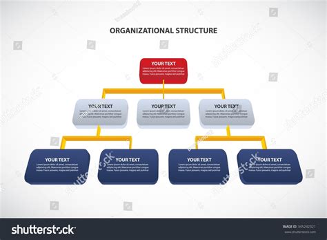 Corporation Structure 的图像结果