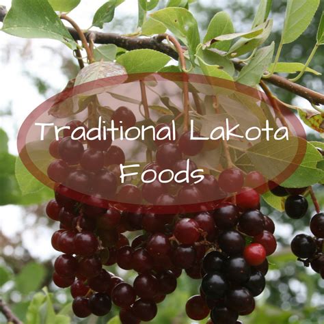Feast on the Flavors of the Lakota: Explore Their Culinary Legacy