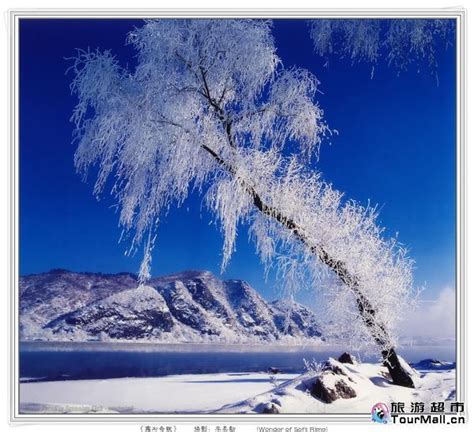 圣诞节旅游——东莞到雪幕冰纷哈尔滨双飞四天游,哈尔滨|赏雪|滑雪|旅游