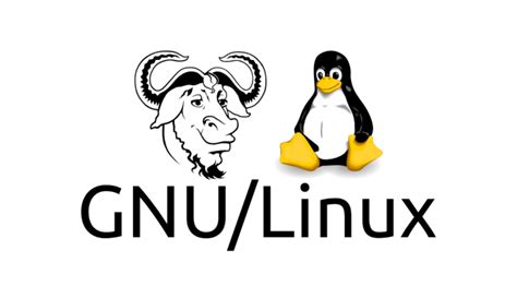 Programm Linux 的图像结果