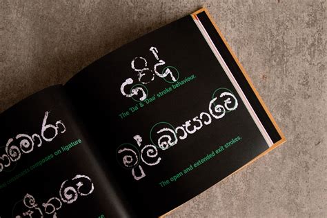 Image result for Sinhala Typography Tutorials