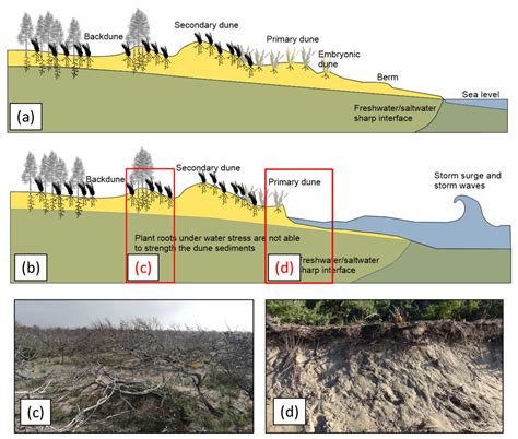 An Integrated Approach between Multispectral Satellite Images and ...
