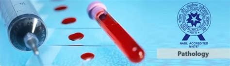 Image result for Liver Function Tests Labs