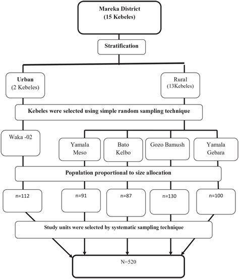 Image result for Sampling Drawing Procedure and Sampling Procedure