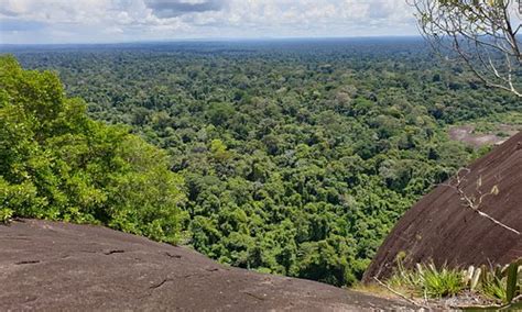 Saramacca District Tourism (2023): Best of Saramacca District - Tripadvisor