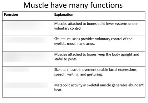 Image result for Functions of Muscles