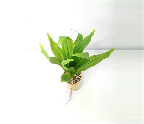 Artificial Plant A1 GM 85 - BuildHUB
