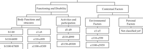 Image result for International Classification of Functioning and Disability Goals Structure