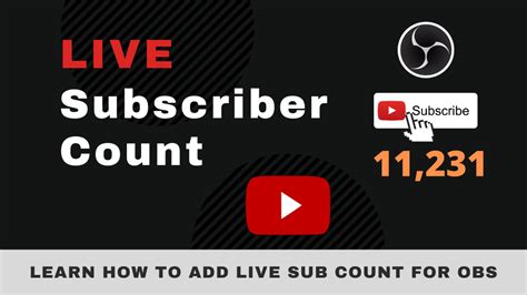 Image result for Real-Time Subscriber Count