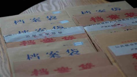 12333档案查询网官网 - 连云港档案激活在哪里办理_如何让连云港档案起死回生？寻找档案激活的正确途径。