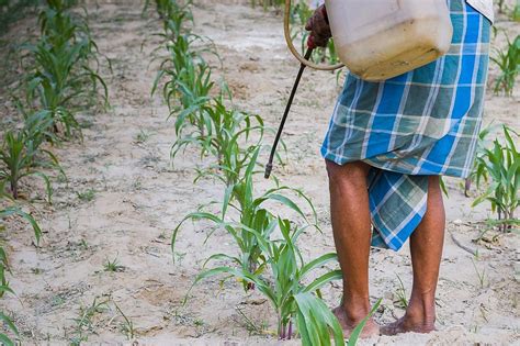 Adaptive Agriculture: Building Climate-Resilient Indian Farmers