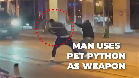 Image result for Attack Florida Human in On Python