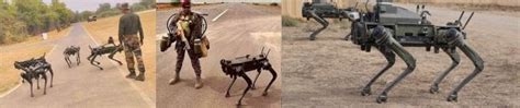 Army Set To Induct Its Newest 'Robo-Dog' Soldiers Soon That Can Fire ...